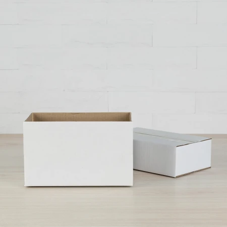 karton-klapowy-bia%C5%82y-250x150x80-mm-cb1006-8.png