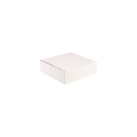 karton-klapowy-bialy-250x200x80-mm-zamkniety-cb1007-2.png