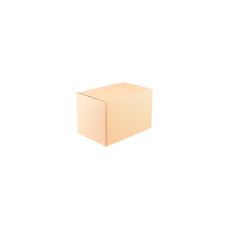 karton-klapowy-naturyalny-300x200x200-mm-zamkniety-cb1029-2.png