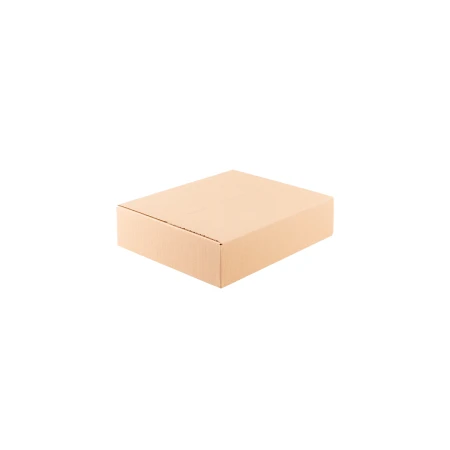 karton-klapowy-naturalny-300x250x80-mm-zamkniety-cb1034-2.png