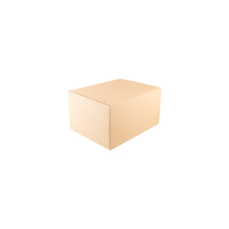 karton-klapowy-naturalny-450x350x250-mm-zamkniety-cb1053-2.png