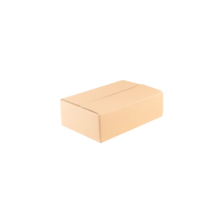 karton-klapowy-naturalny-300x200x100-mm-zamkniety-cb1066-2.png