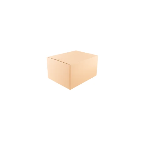 karton-klapowy-naturalny-450x350x250-mm-zamkniety-cb1077-2.png