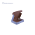 pudelko-fasonowe-biale-250x200x60-mm-wymiary-wew-cb2003-4.png