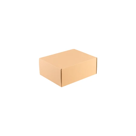 pudelka-fasonowe-naturalne-250x200x100-mm-zamkniete-cb2010-2.png