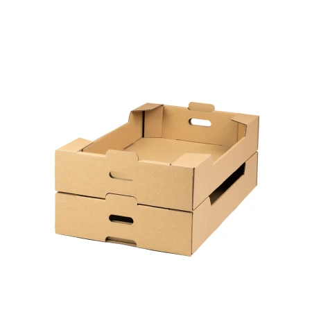 skrzynka-na-owoce-warzywa-tekturowa-szara-600x400x110-mm-cb2040-2.png