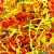 wypelniacz-papierowy-zygzag-mix-intensywny-1kg-pf0018-5.png