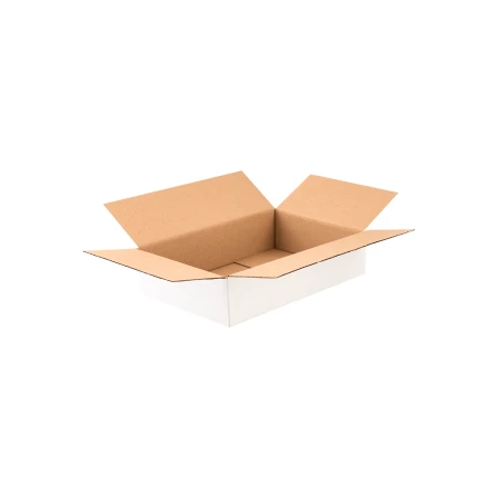 karton-klapowy-bialy-300x200x80-mm-otwarty-cb1010-1.png