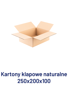 Kartony klapowe naturalne 250x200x100