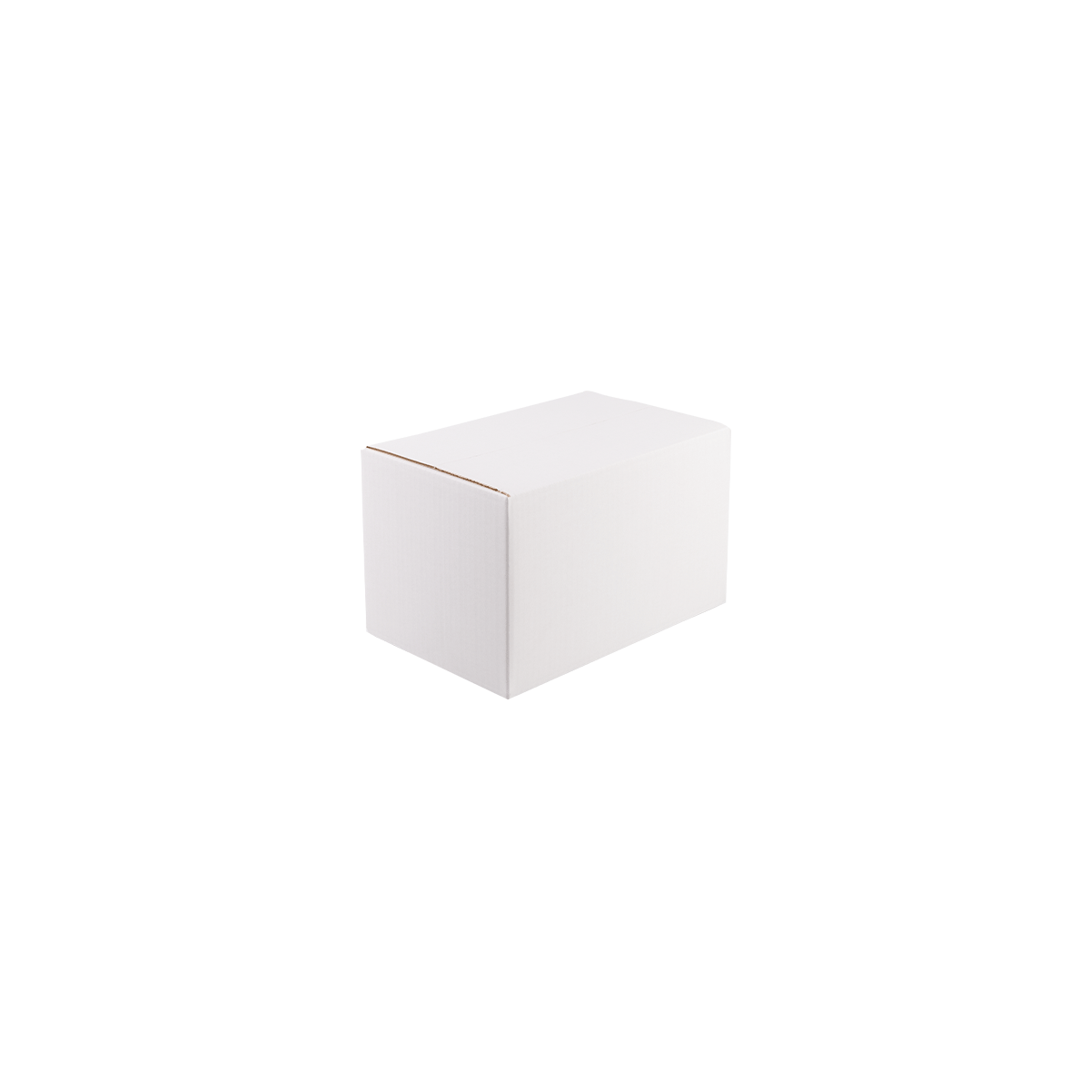 karton-klapowy-bialy-300x200x190-mm-zamkniety-cb1003-2.png