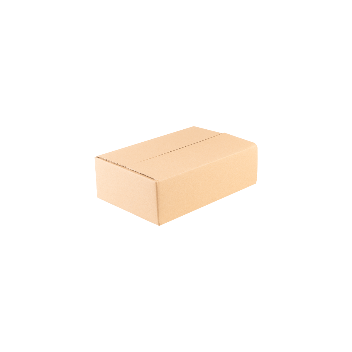 karton-klapowy-naturalny-300x200x100-mm-zamkniety-cb1066-2.png