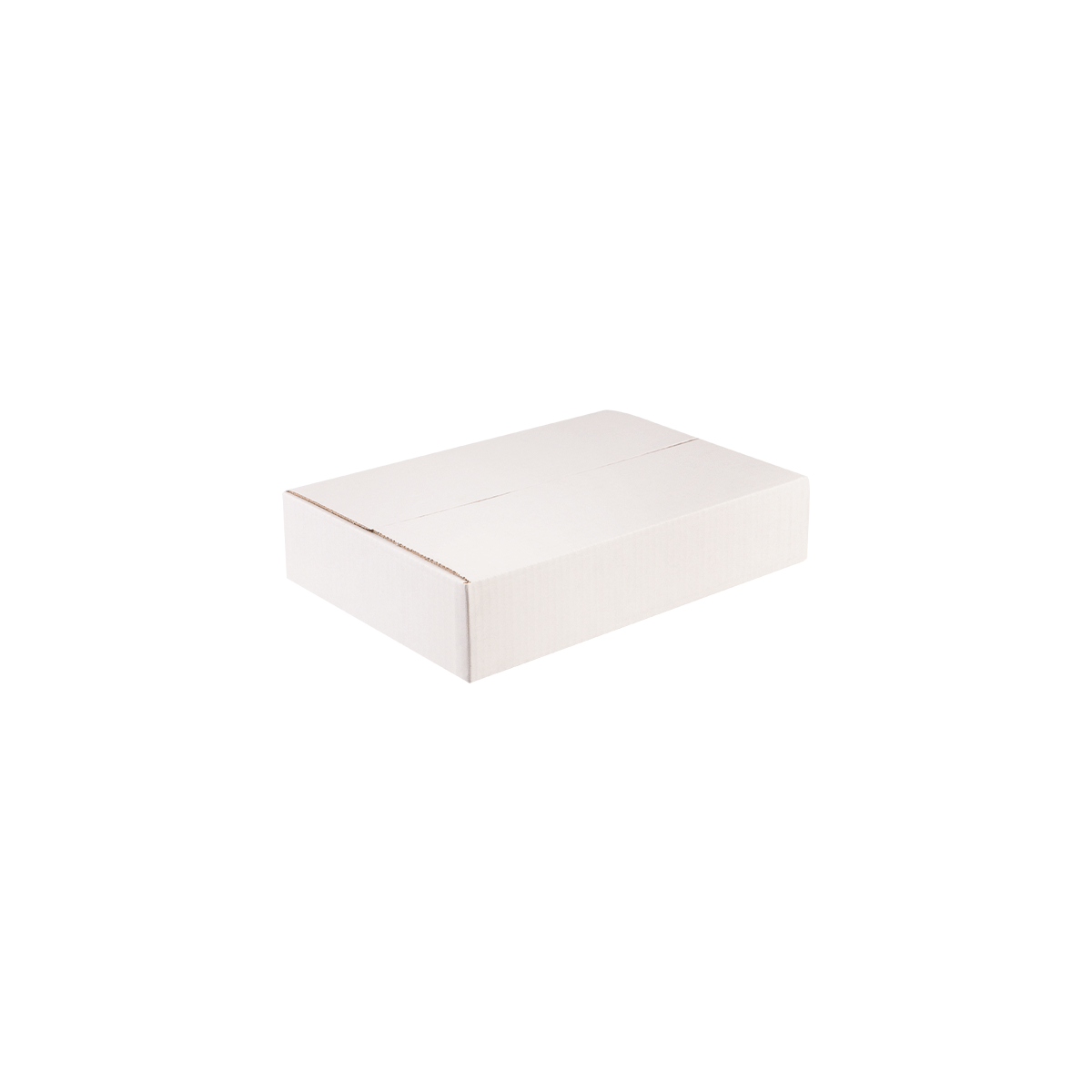 karton-klapowy-bia%C5%82y-250x150x80-mm-zamkniety-cb1006-2.png